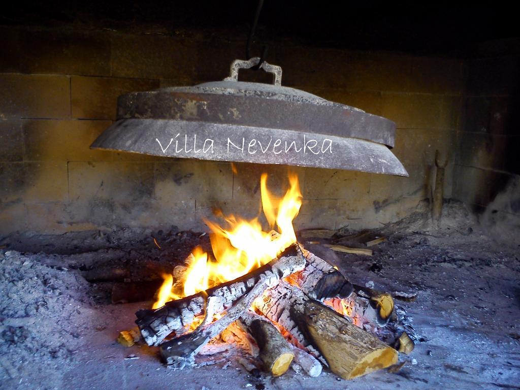 Apartments Villa Nevenka 罗戈兹尼察 外观 照片